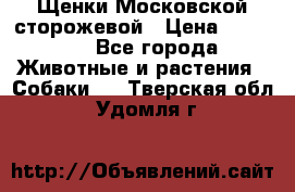 Щенки Московской сторожевой › Цена ­ 35 000 - Все города Животные и растения » Собаки   . Тверская обл.,Удомля г.
